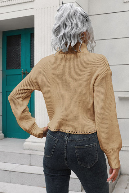 Cropped Turtleneck Sweater