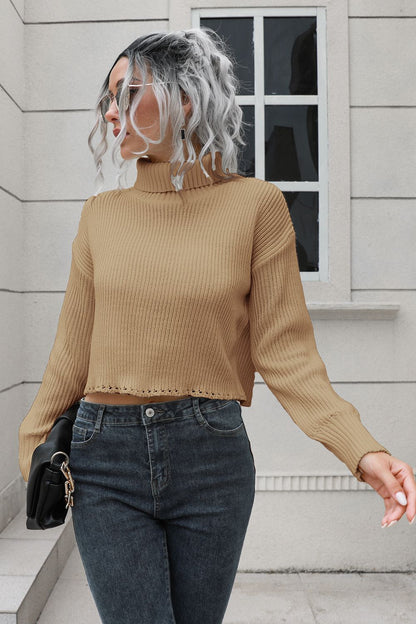 Cropped Turtleneck Sweater